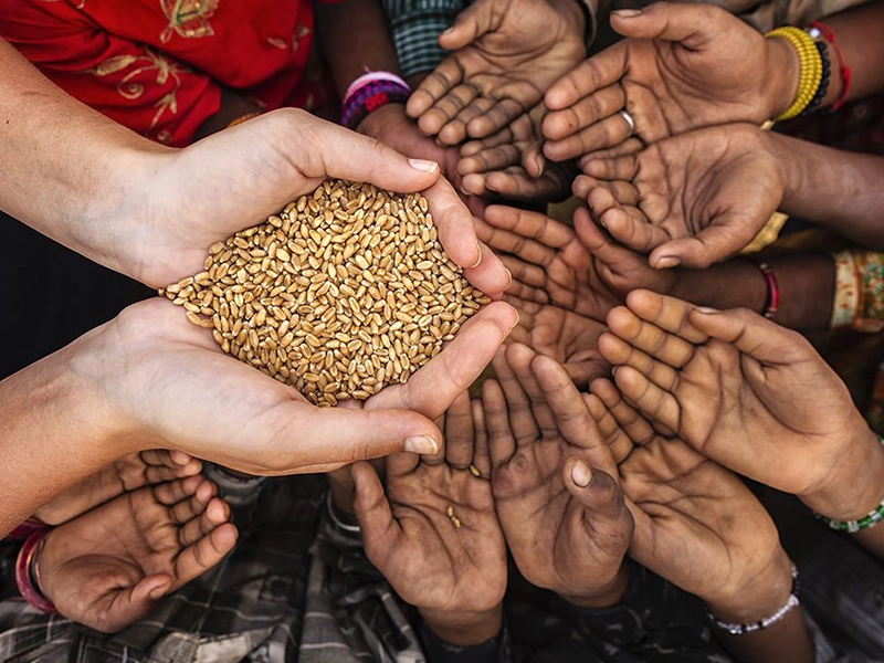 WFP - World Food Programme